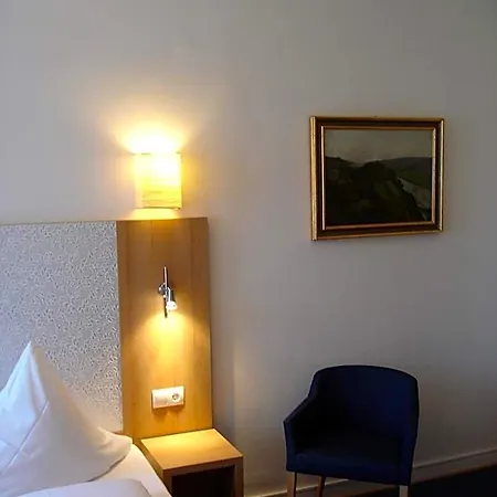 Rhein-hotel Hotel 2*