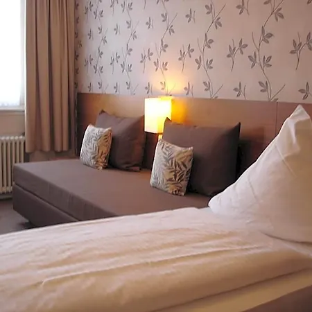 Rhein-hotel 2*