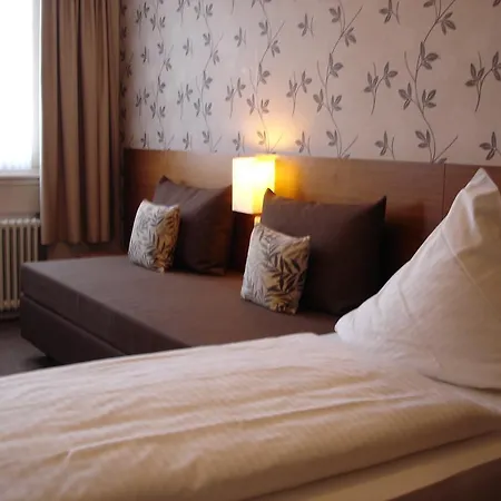 Rhein-hotel 2*