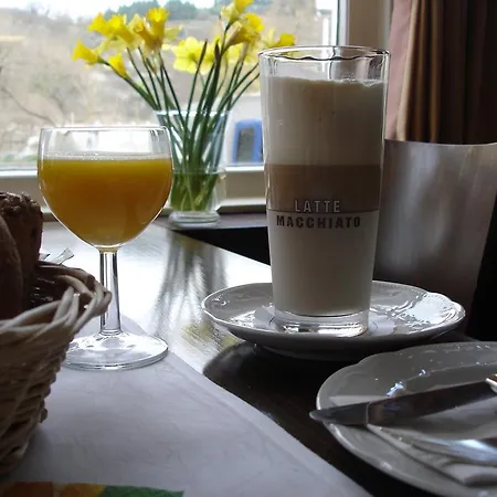 Rhein-hotel